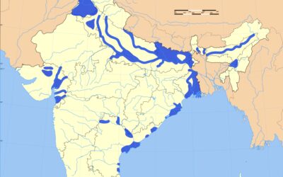 Catastrophe en Inde : Six Morts et Destruction Massives Suite à des Inondations et Glissements de Terrain