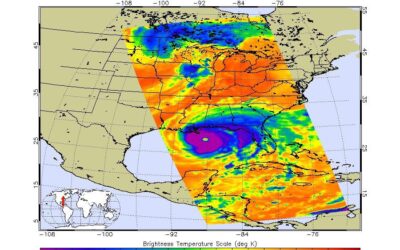 L’Ouragan Béryl : Impacts Dévastateurs et Solutions Temporaire pour se Protéger