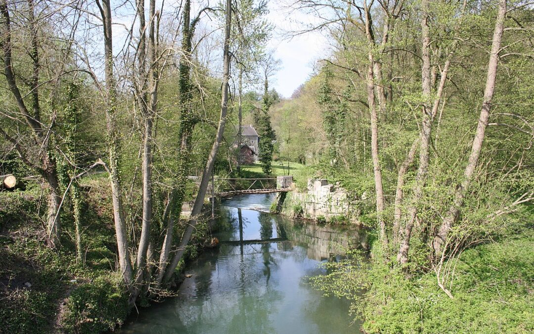 Orages Dévastateurs à Romont : Inondations Majeures et Répercussions sur la Communauté