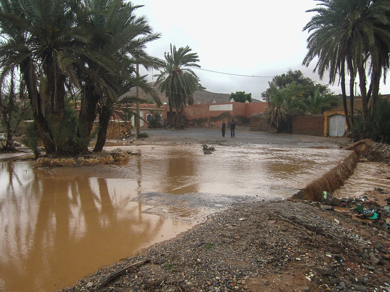 Inondations Dévastatrices au Maroc et en Algérie : Bilan, Réactions et Solutions pour Prévenir les Catastrophes Futures