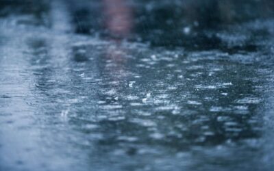 Les données météorologiques : un atout crucial pour prévenir les inondations