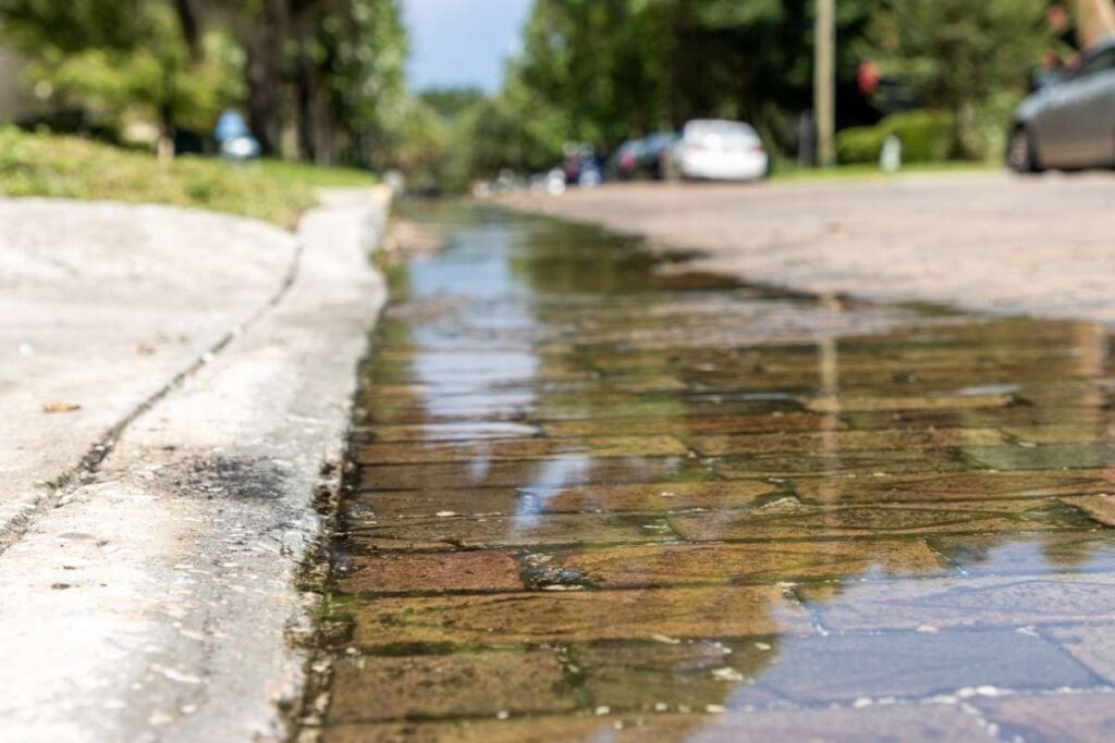 Une rue pavée inondée par la pluie, bordée d'arbres verdoyants et de voitures stationnées.