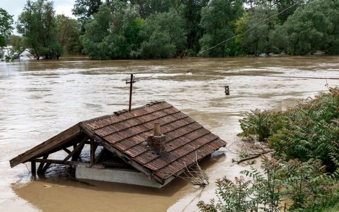 Les zones vulnérables aux inondations en Belgique : analyse et solutions